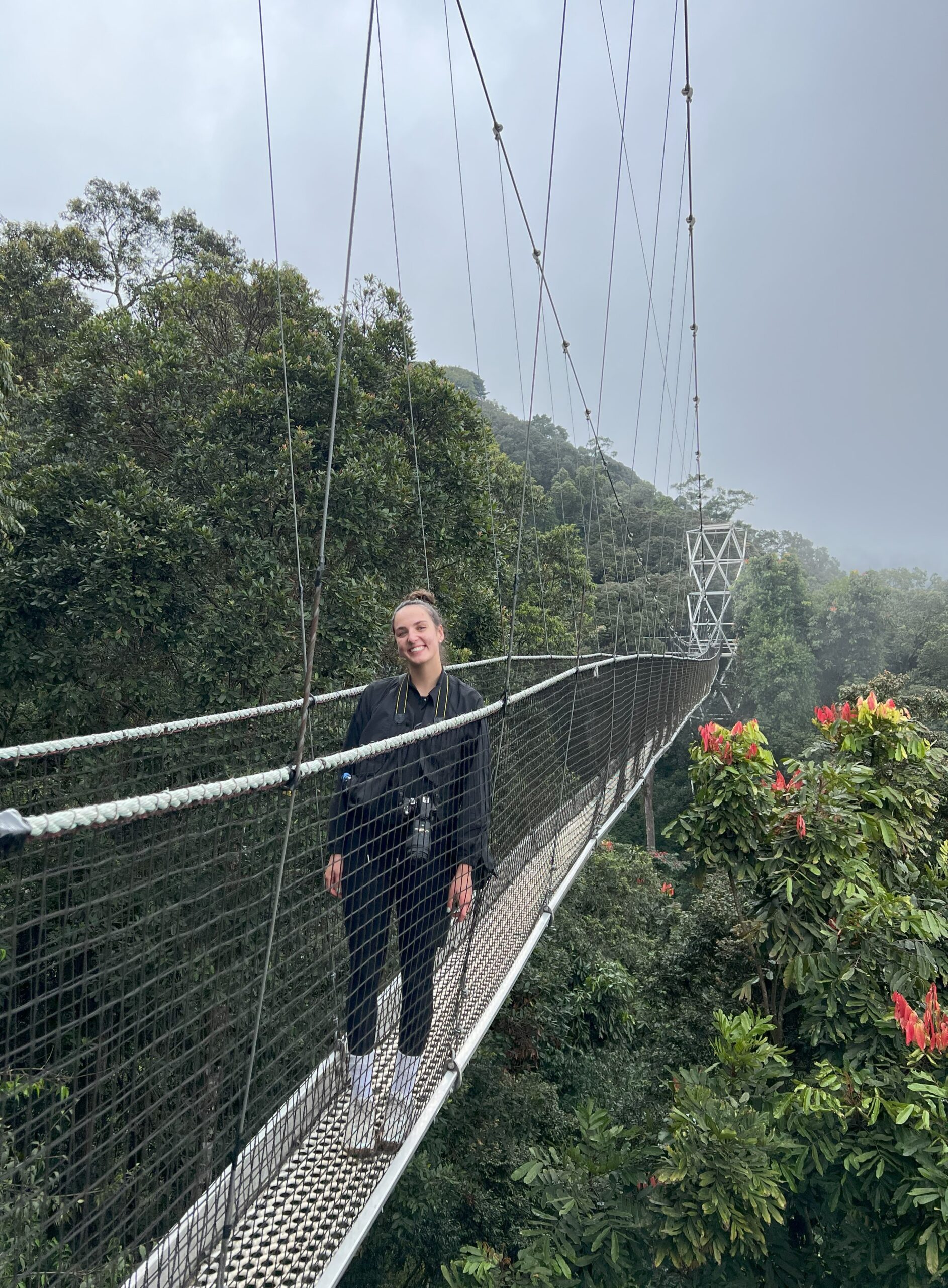 Jungle Rainforest in Rwanda